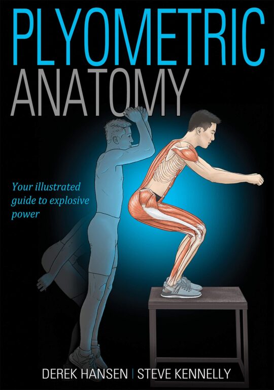 Plyometric-Anatomy