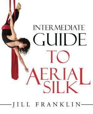 intermediate guide to aerial silk